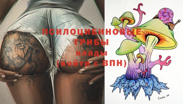PSILOCYBIN Абаза