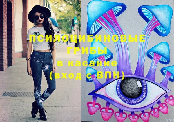 PSILOCYBIN Абаза
