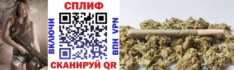 блэк спрут зеркало  купить   Торопец  Конопля конопля 